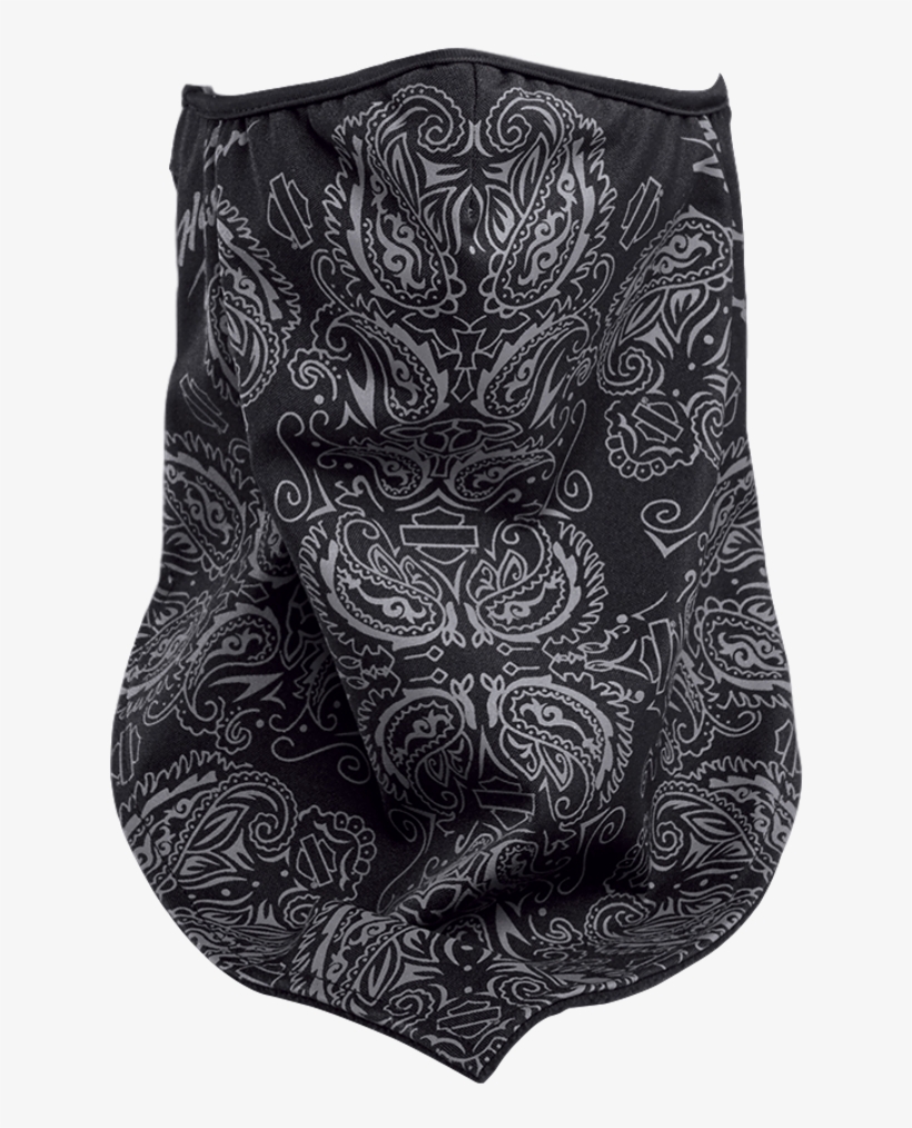 H-d Graphic Facemask Bandana - Paisley, transparent png download