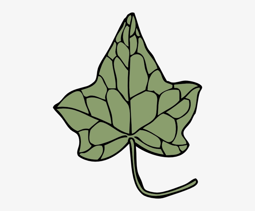 Oak Ivy Leaf Clip Art At Clker Com Vector Clip Art - Ivy Leaf Clip Art, transparent png download