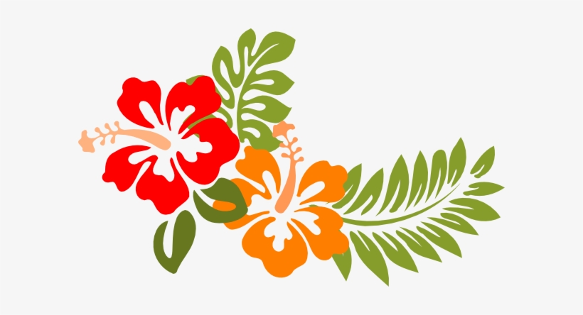 Hibiscus - Google Search - Flores Havai, transparent png download