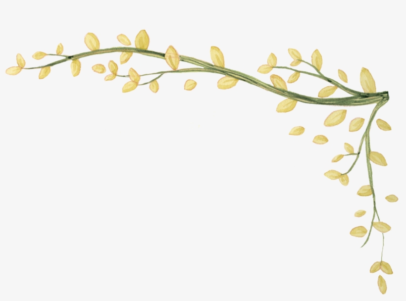 Cool Ivy Vine Png Transparent - Vines Design Png, transparent png download