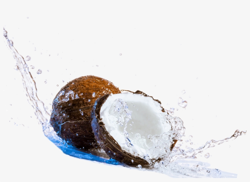 Coconut Water Png - One World Enterprises, Llc, transparent png download