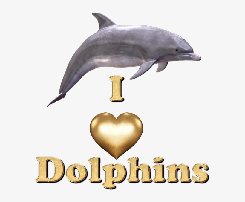 Where's The Dolphin Sticker Pack For Imessage Messages - Where's The Dolphin? Story And Fun Games, transparent png download