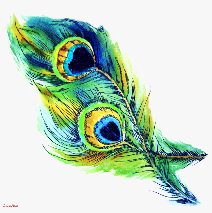 Peacock Vector Art Nouveau - Peacock Feater Clip Art, transparent png download