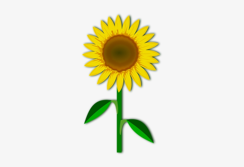 Clip Art Flor Flora Flower Nature Pla - Limited Time Offer No Background, transparent png download