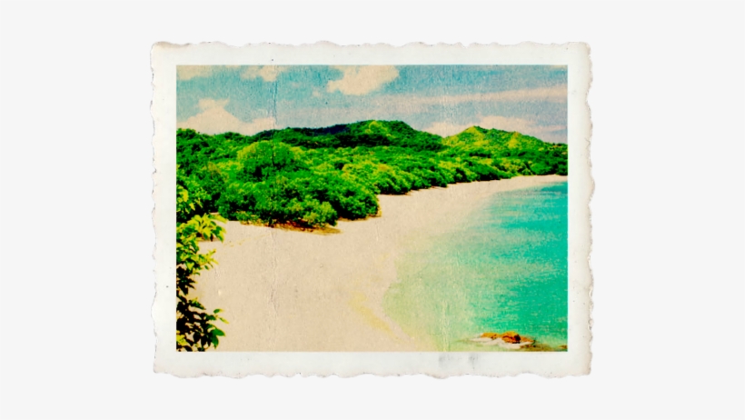 Aloha My Friends And Family That Follow This Racing, - Rogue X Men, transparent png download