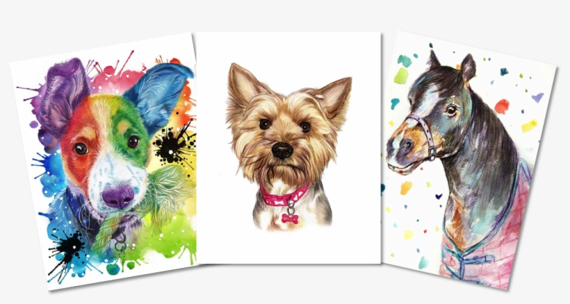 Pet - Australian Silky Terrier, transparent png download