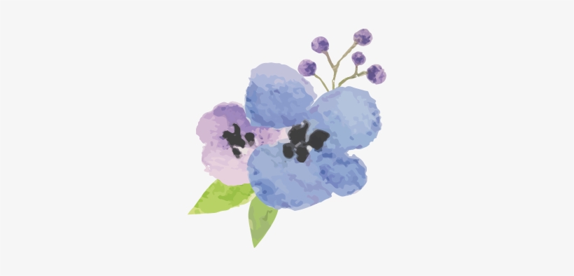 Brand - Assisted Living, transparent png download