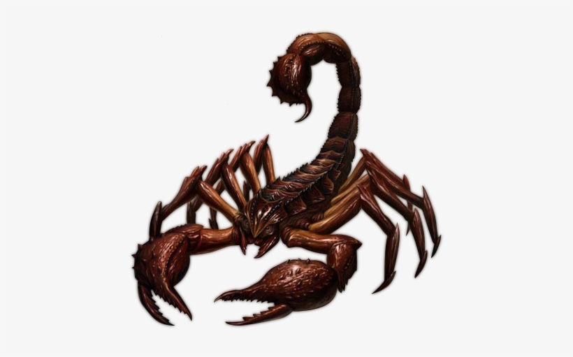 Scorpion Png, transparent png download