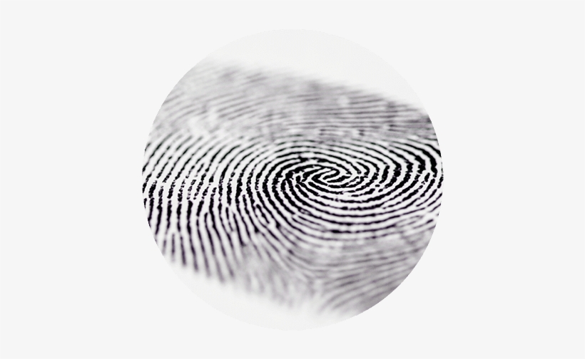 Fingerprint Technology - Finger Print, transparent png download