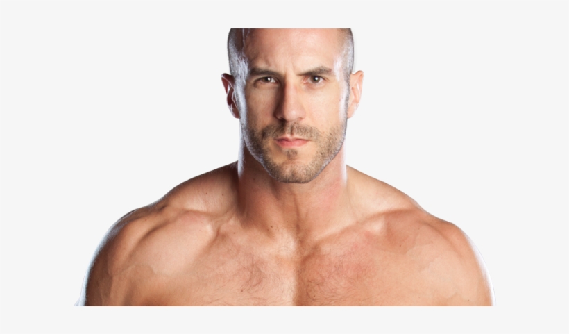 Video Interviews With Cesaro, Seth Rollins, Emma, Natalya, - Antonio Cesaro, transparent png download