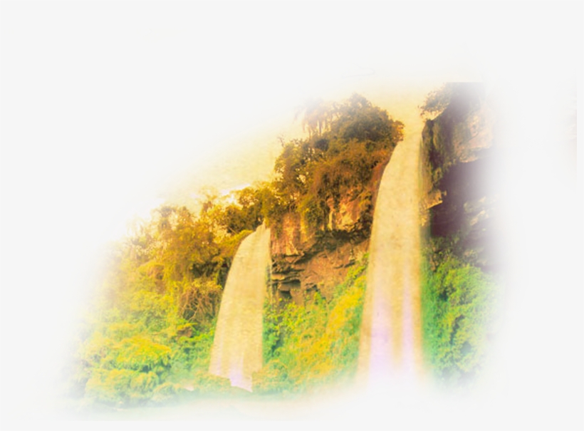 Fuentes-secretas - Tree, transparent png download