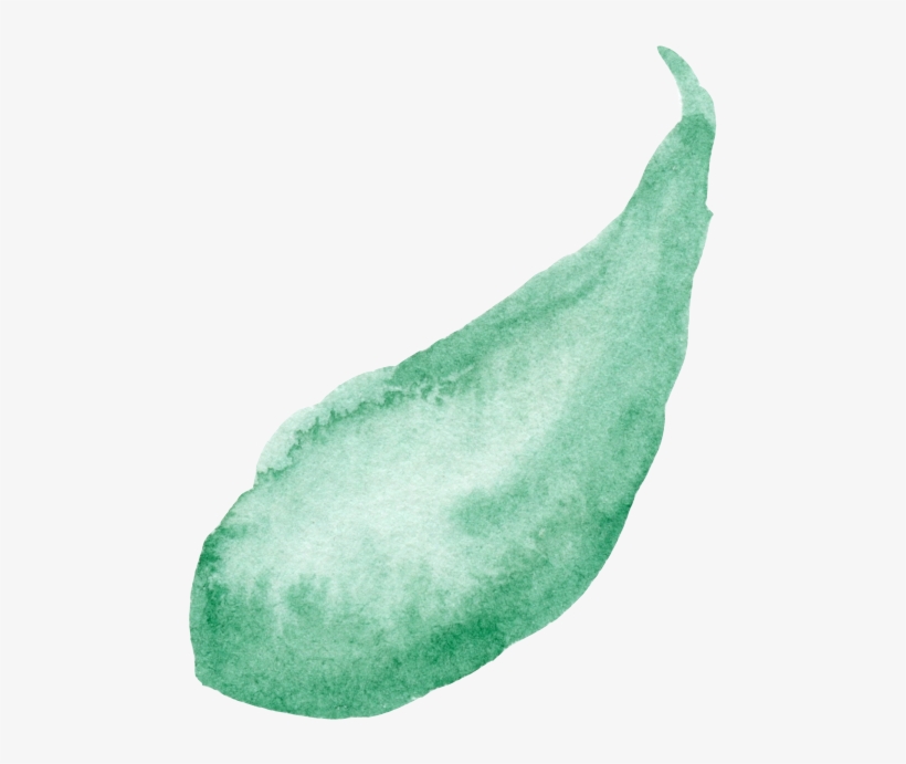 Default - Gourd, transparent png download