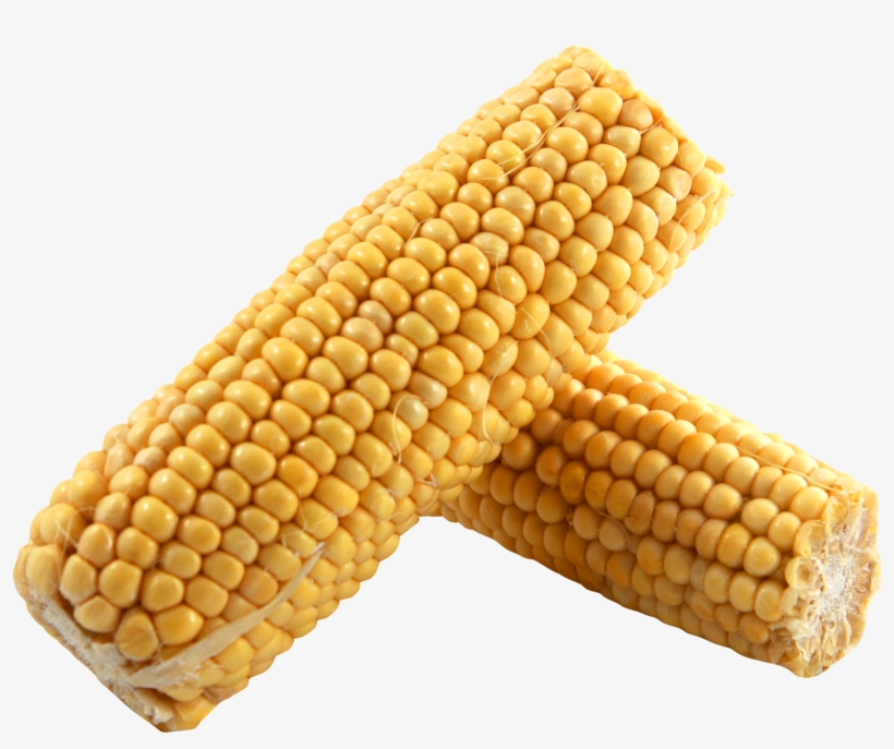 Corn Png Image - Dent Corn Png, transparent png download