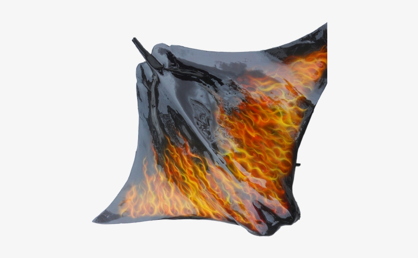 Stingray With True Flames - Watercolor Paint, transparent png download