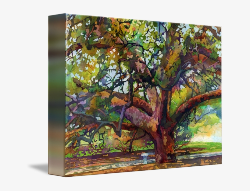 "sunlit Century Tree" By Hailey E - Sunlit Century Tree, transparent png download
