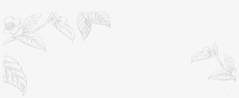 Sketch, transparent png download