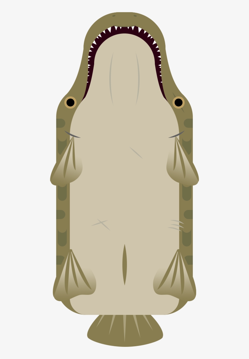 3 Mo - Illustration, transparent png download