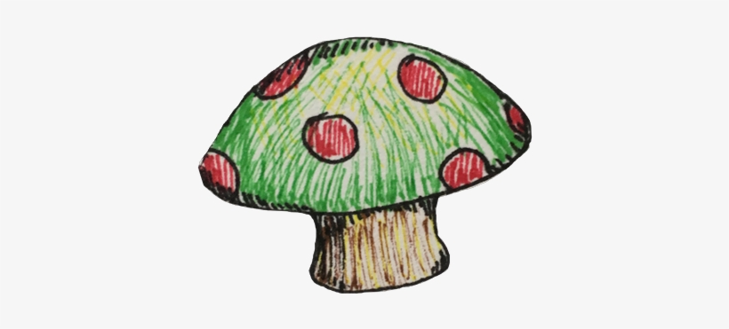 Shiitake, transparent png download