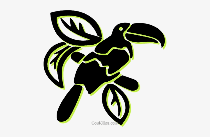 Toucan Royalty Free Vector Clip Art Illustration - Illustration, transparent png download