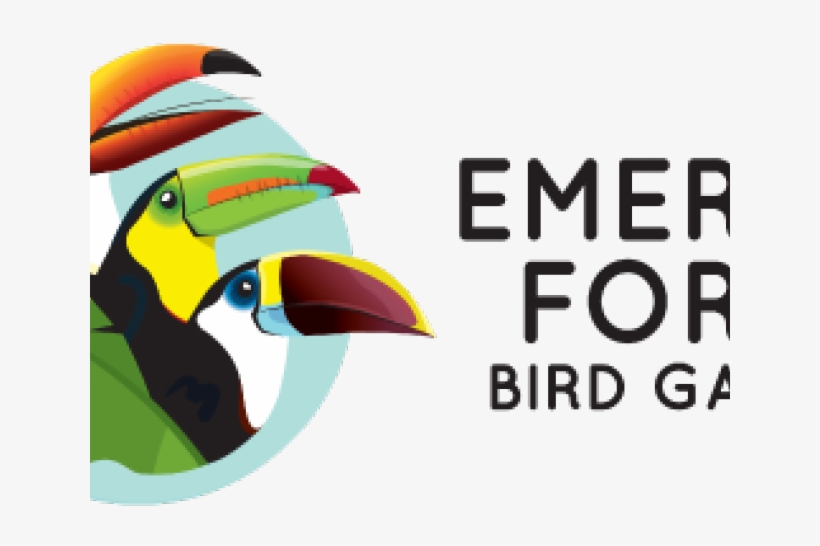 Hornbill, transparent png download