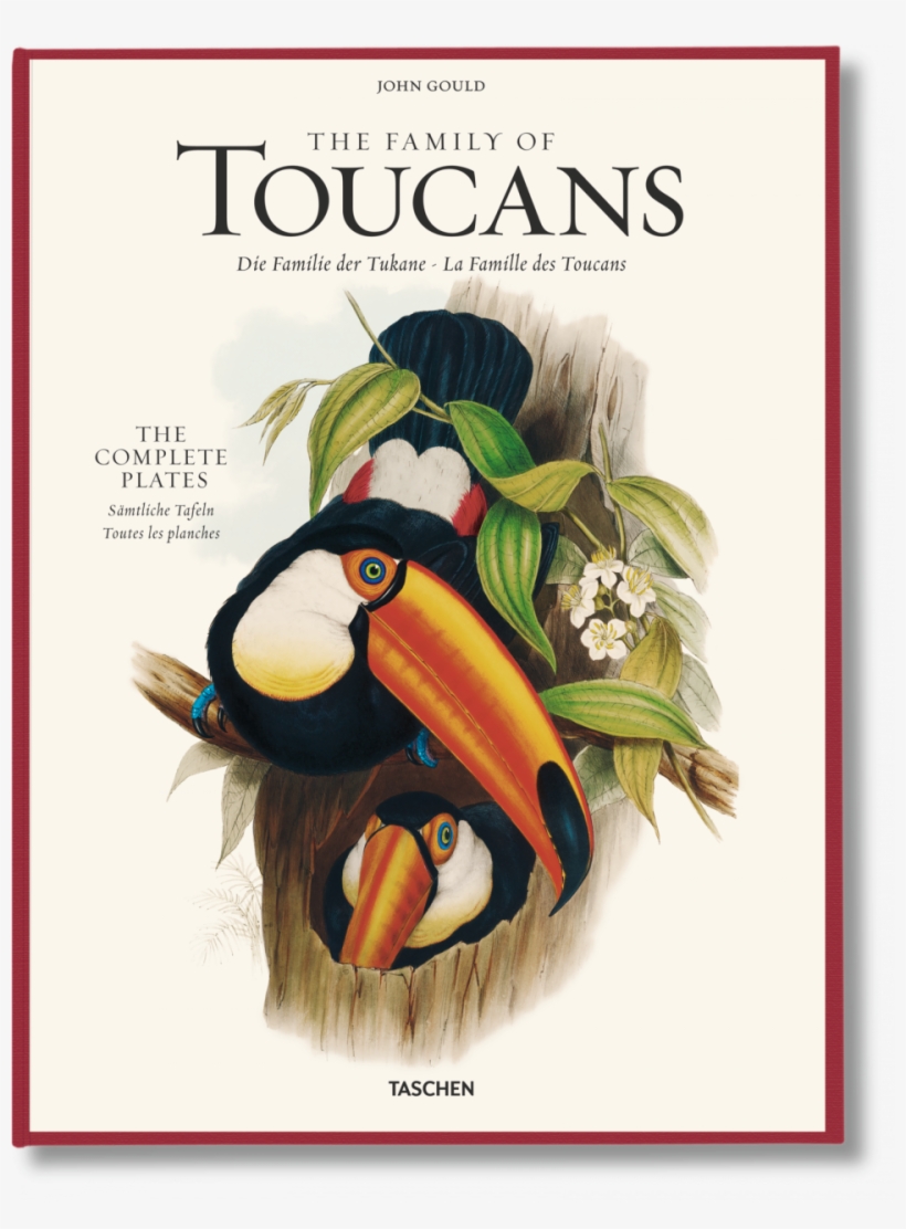 The Family Of Toucans - John Gould Family Of Toucans, transparent png download