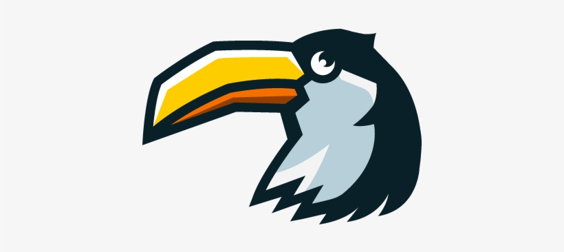 Toucan - Piciformes, transparent png download