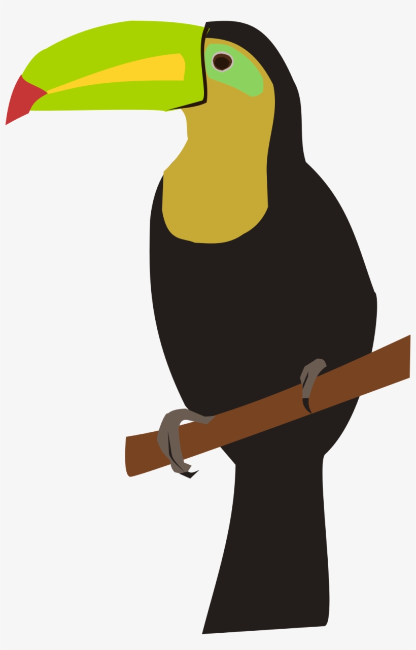 Open - Png File Toucan, transparent png download