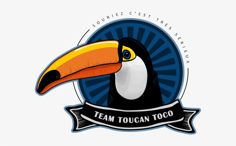 Hornbill, transparent png download