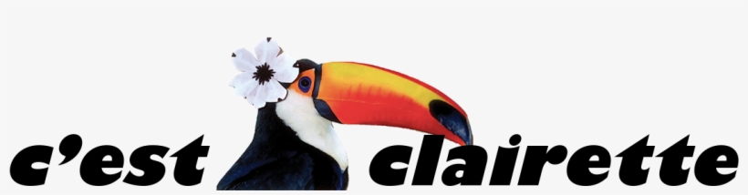 C'est Clairette - Fashion, transparent png download