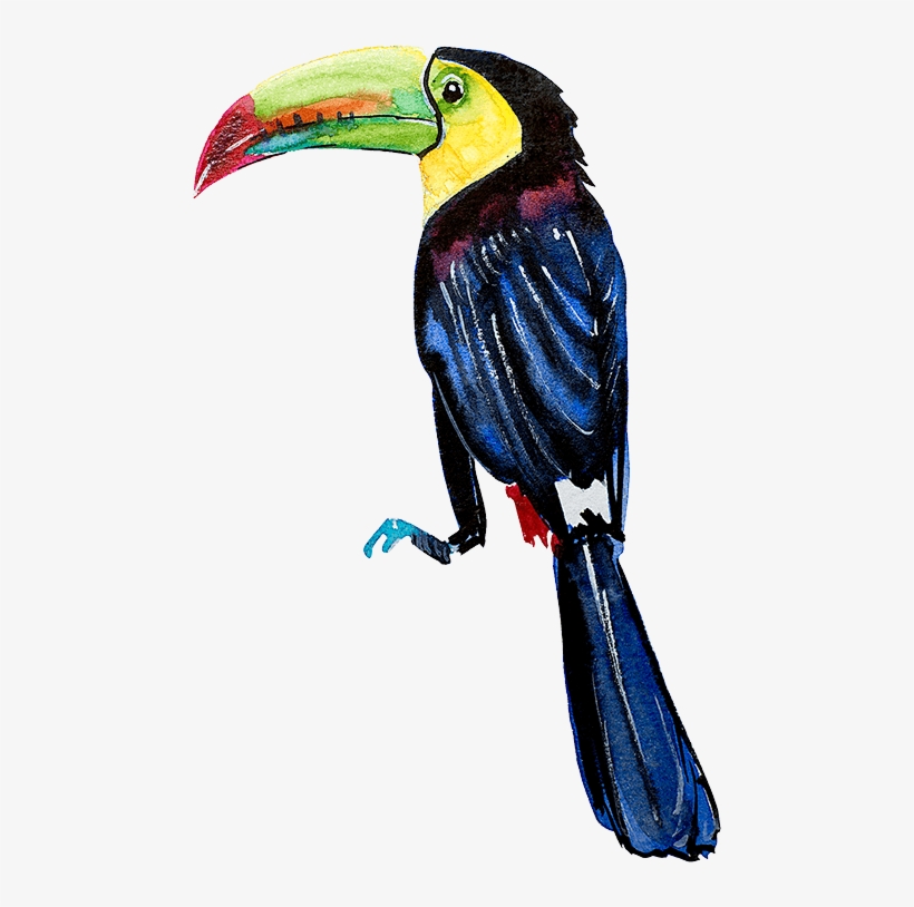 View More - Stock Illustration, transparent png download