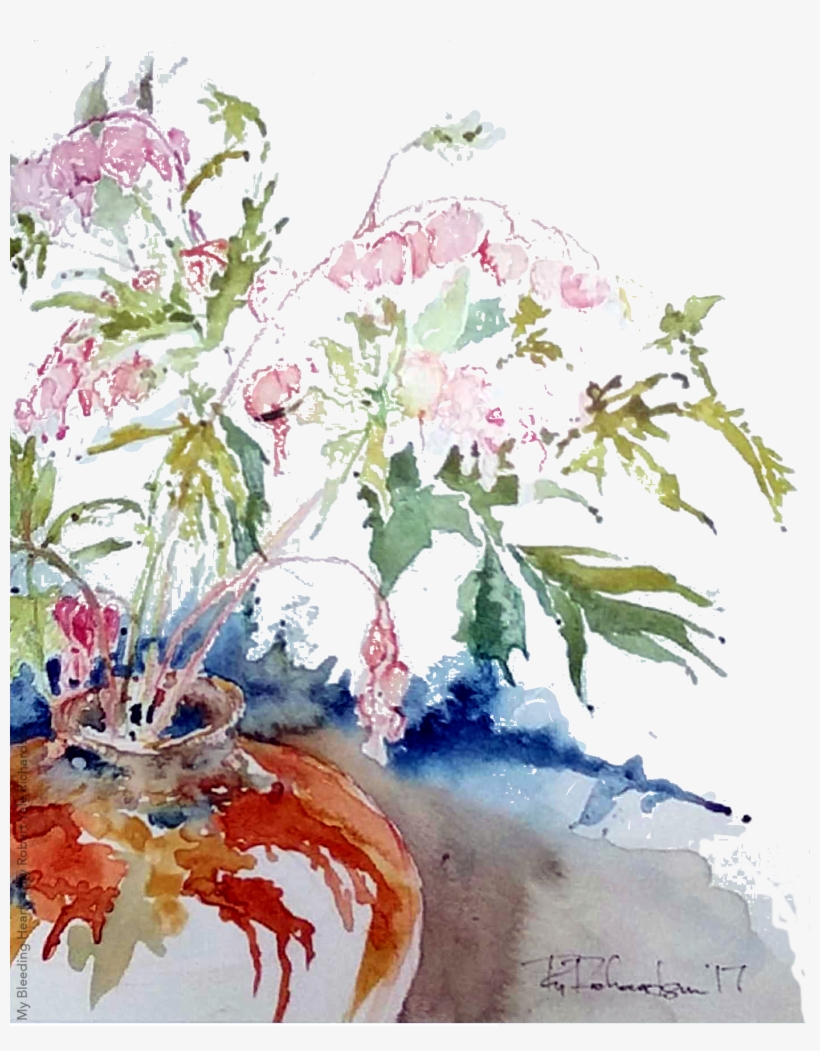 Botanical Drawing Bleeding Heart - Drawing, transparent png download