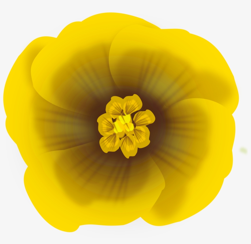 Big Image - Flower Png Transparent Yellow, transparent png download