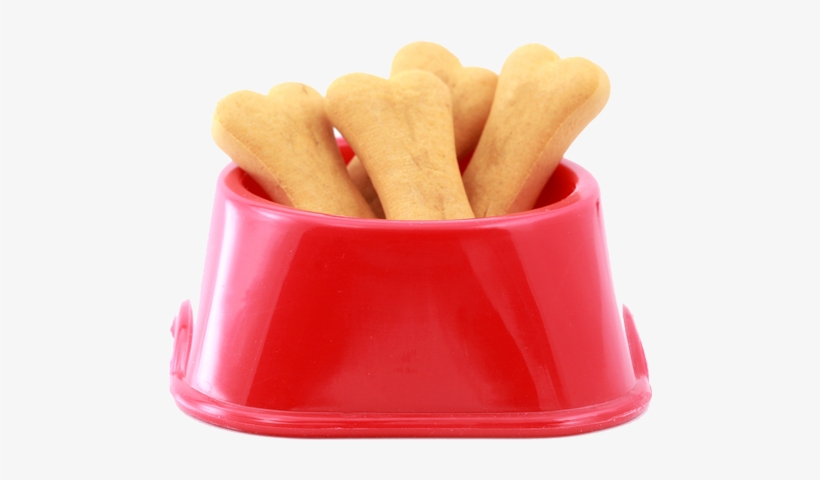 Grooming Dog Bowl - Dog, transparent png download