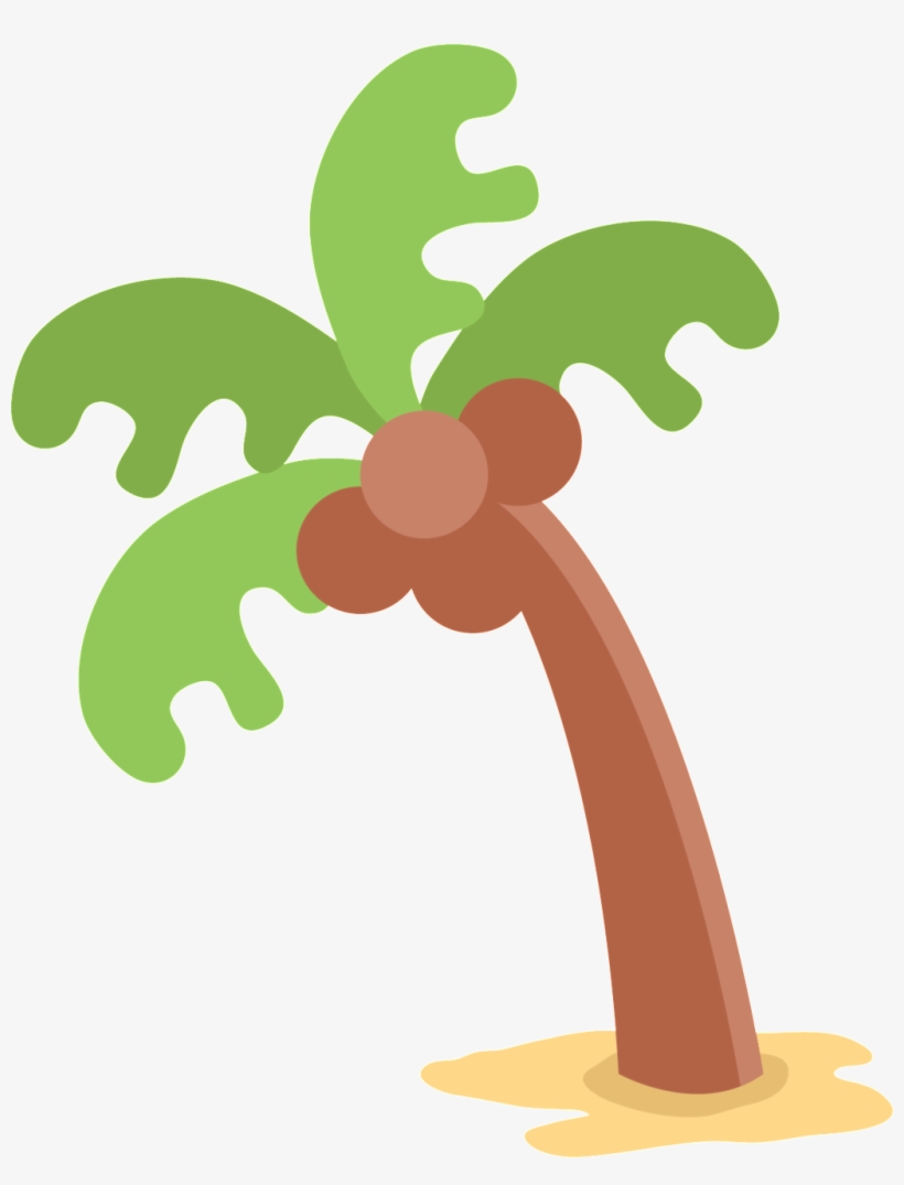 Coco Árbol Hermoso Png Transparente En Verano - Coconut, transparent png download