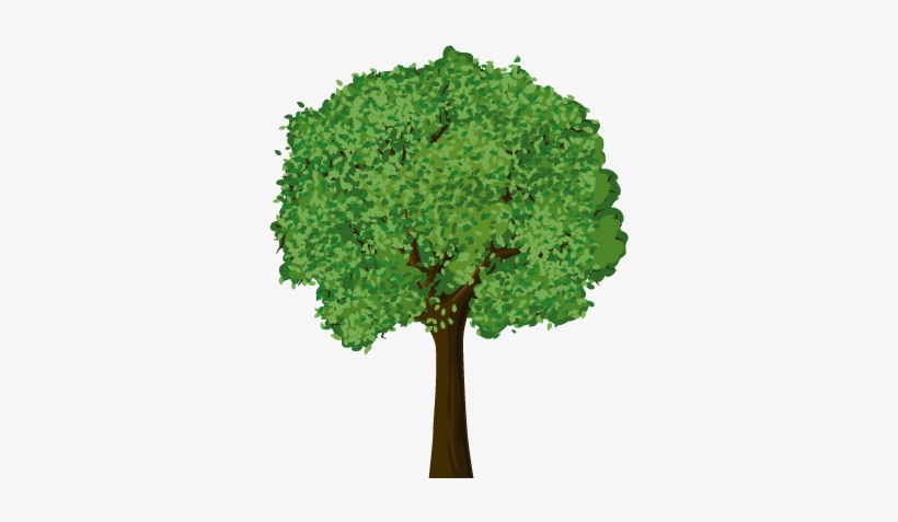 Arbol - Tangerine Tree Clip Art, transparent png download
