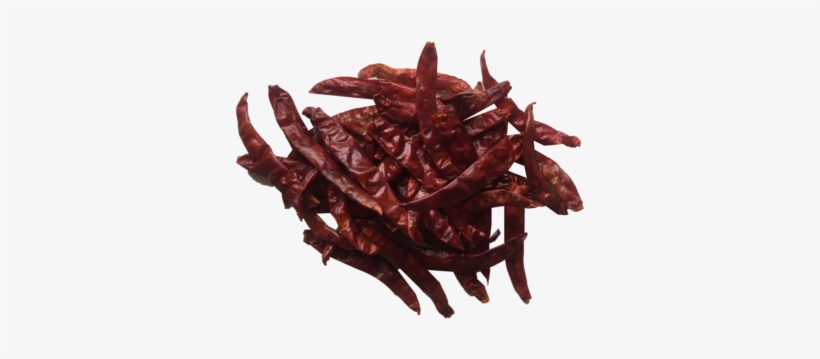 Bird's Eye Chili, transparent png download