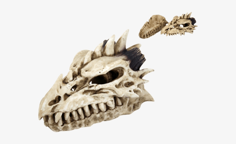 Evil Dragon Skull Incense Burner - Gifts & Decors Legendary Smoke Fire Breathing Druid, transparent png download