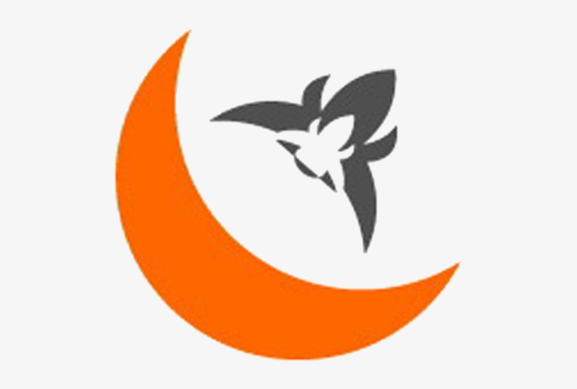 Orchids Orangemoorchids Twitter - Moon Clipart Orange, transparent png download