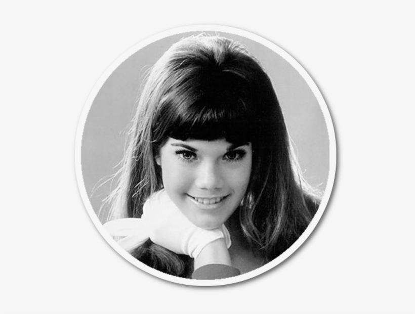 Barbi Benton, transparent png download