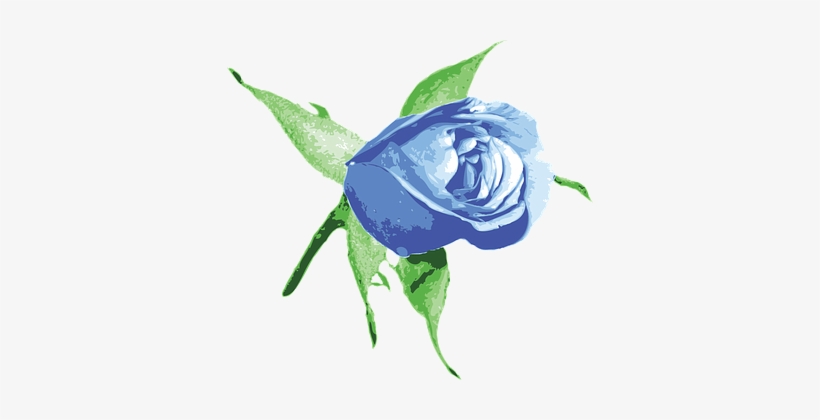Bud Floral Flower Nature Rose Floral Flora - Blue Rose Bud Png, transparent png download