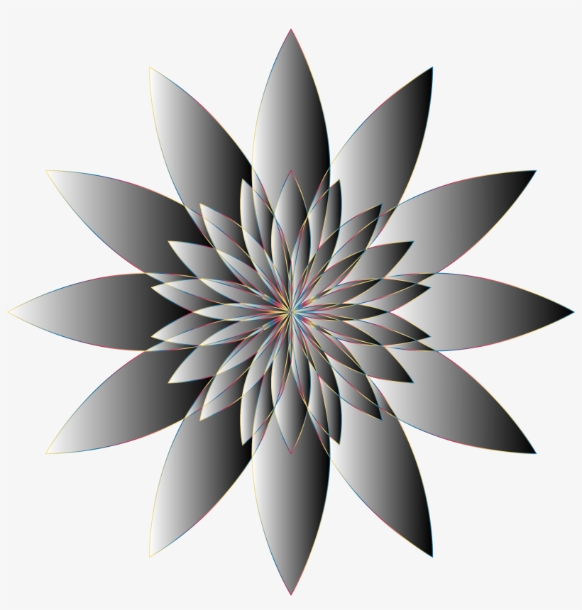 Chromatic Flower 16 No Background Banner Free - Icon, transparent png download