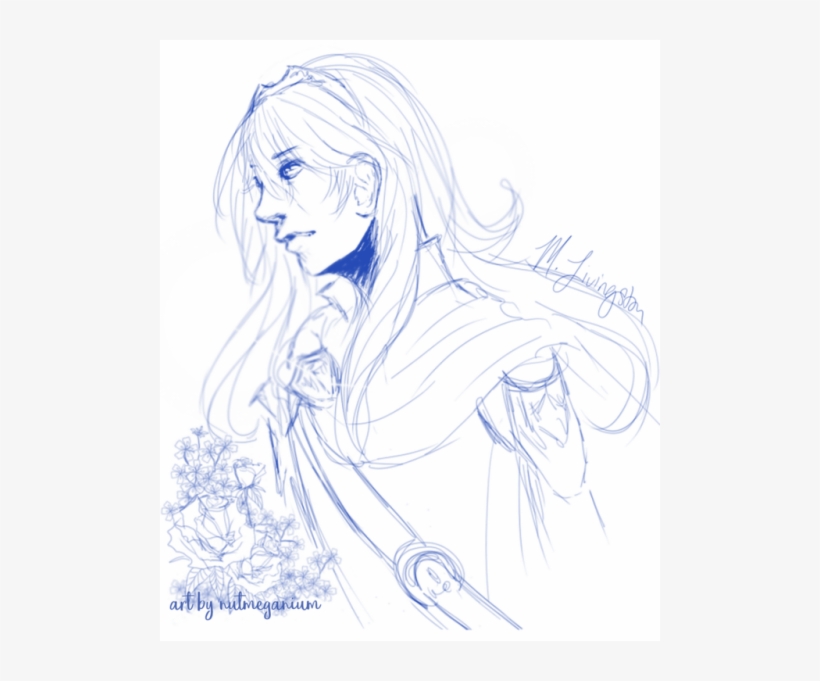 Fire Emblem Awakening - Sketch, transparent png download