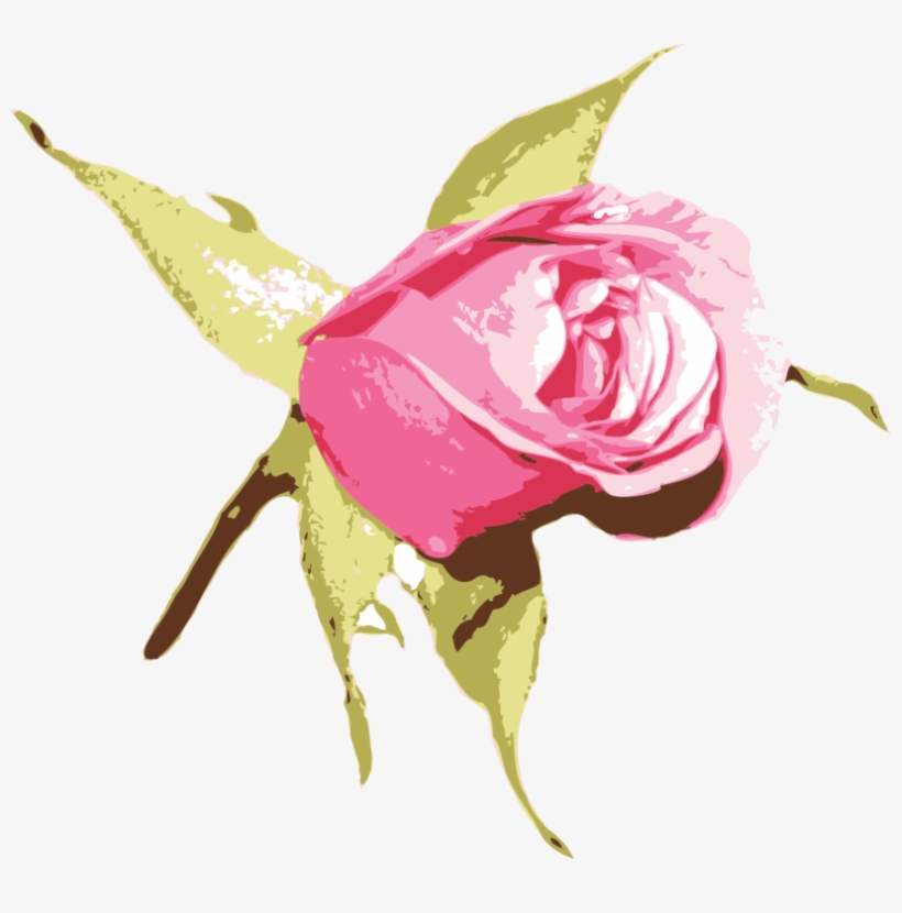 Garden Roses Blue Rose Flower Pink - Sind Sie Meine Blumen-mädchen-rustikale Hölzerne Karte, transparent png download