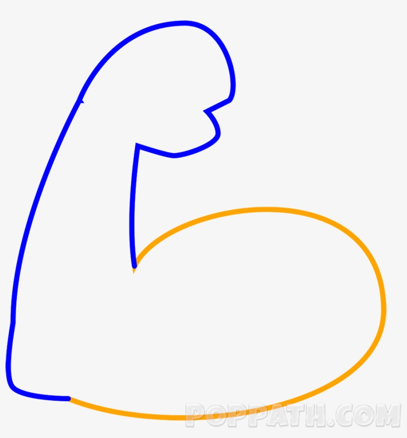 Now Draw An Oval Shape That Meets Both Ends Of The - Draw A Muscle Arm, transparent png download