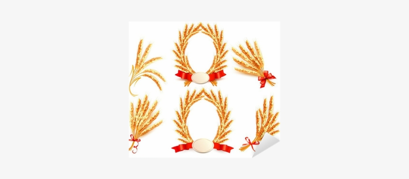 Big Collection With Ears Of Wheat - Golden Seed, transparent png download