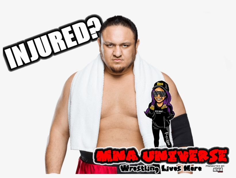 Http - //www - Mnauniverse - Net/is Samoa Joe Really - Samoa Joe, transparent png download