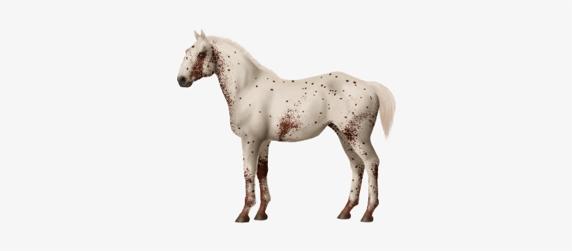 Taken On Sat Aug 19, 2017 - Horse, transparent png download