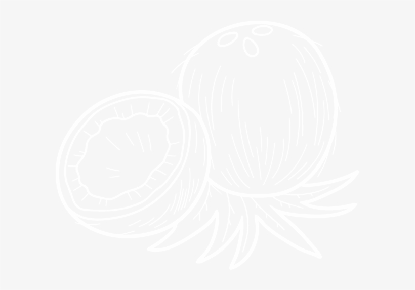 Activated Coconut Shell Charcoal - Plan White, transparent png download