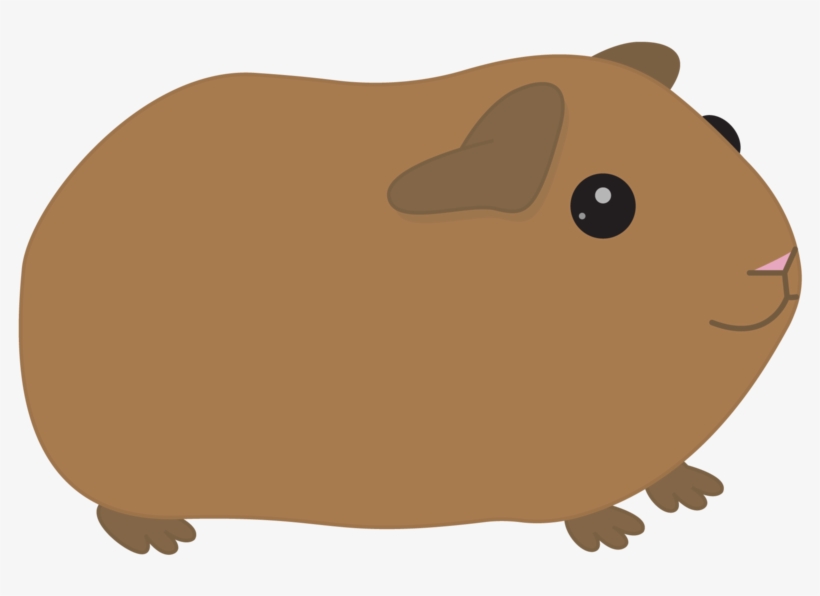 Graphic Black And White Orange Free On Dumielauxepices - Cartoon Guinea Pig Png, transparent png download