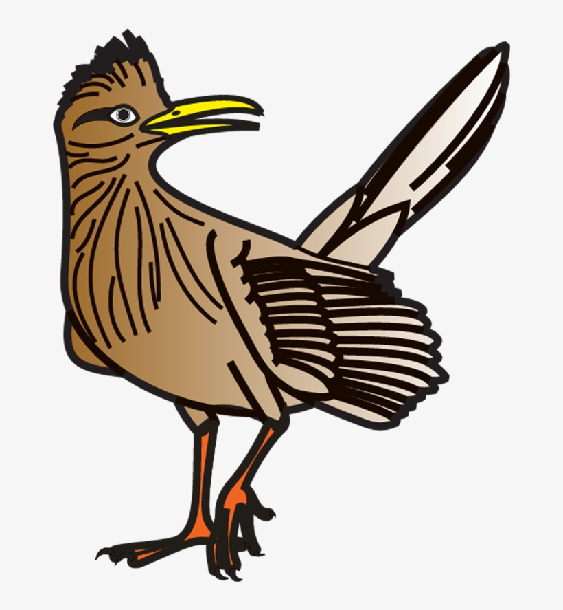 Western Hills Elementary - Marsh Wren, transparent png download